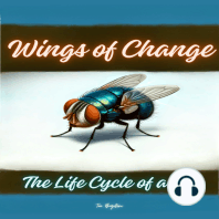 Wings of Change