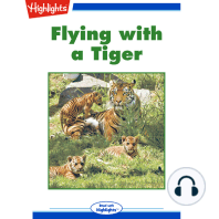 Flying with a Tiger