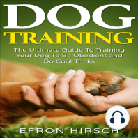 Dog Training