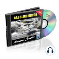 Babbling Brook - Relaxation Music and Sounds