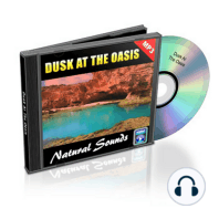 Dusk At The Oasis - Relaxation Music and Sounds
