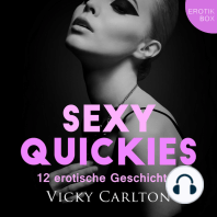Sexy Quickies. 12 erotische Geschichten