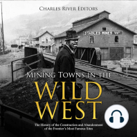 Mining Towns in the Wild West