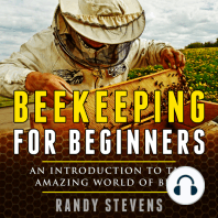 Beekeeping for beginners