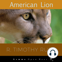 American Lion