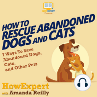 How To Rescue Abandoned Dogs and Cats