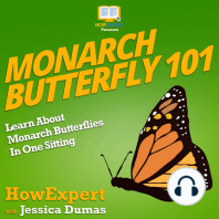 Monarch Butterfly 101