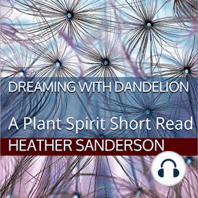 Dreaming with Dandelion