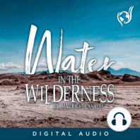 Water In The Wilderness