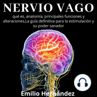 Nervio Vago