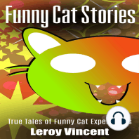 Funny Cat Stories