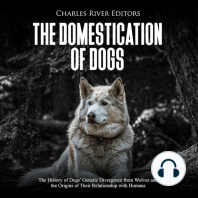 The Domestication of Dogs