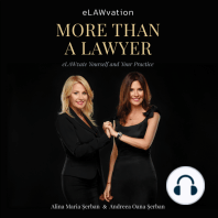 More Than A Lawyer