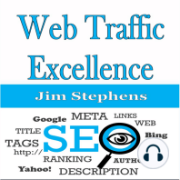 ​Web Traffic Excellence