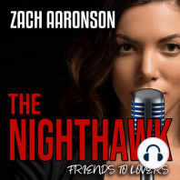 The NightHawk