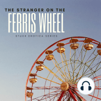 The Stranger on the Ferris Wheel