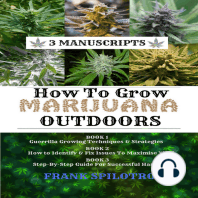 How to Grow Marijuana Outdoors
