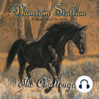 Phantom Stallion