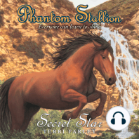 Phantom Stallion