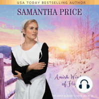 Amish Winter of Hope