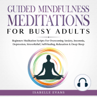 Guided Mindfulness Meditations for Busy Adults
