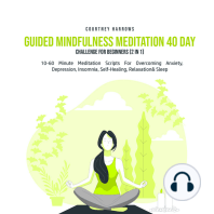 Guided Mindfulness Meditation 40 Day Challenge For Beginners (2 in 1)