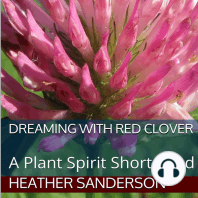 Dreaming with Red Clover