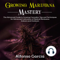 Growing Marijuana Mastery