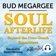 Soul Afterlife - Beyond the Near-Death Experience