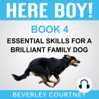Here Boy! Essential Skills for a Brilliant Family Dog, Book 4
