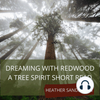 Dreaming with Redwood