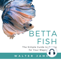 Betta Fish