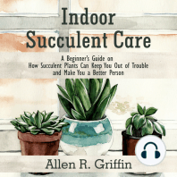 Indoor Succulent Care