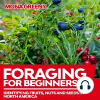 Foraging For Beginners