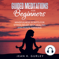 Guided Meditation for Beginners