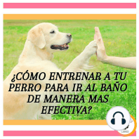 ¿Cómo Entrenar A Tu Perro Para Ir Al Baño De Manera Mas Efectiva?