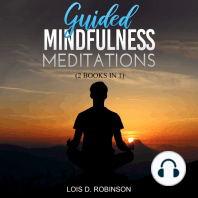 Guided Mindfulness Meditation