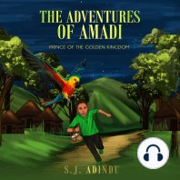 The Adventures of Amadi