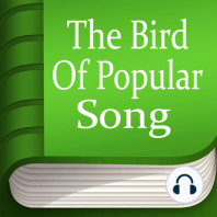 The Bird Of Popular Song
