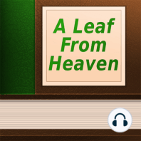 A Leaf From Heaven