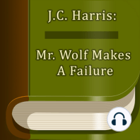 Mr. Wolf Makes A Failure