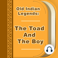 The Toad And The Boy