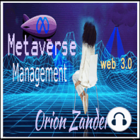 Metaverse Management