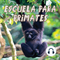 Escuela para primates