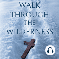 A Walk Through the Wilderness