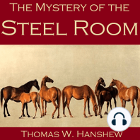 The Mystery of the Steel Room
