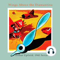 Wings Above the Diamantina