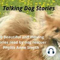 Talking Dog Stories