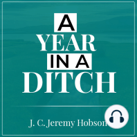 A Year in a Ditch