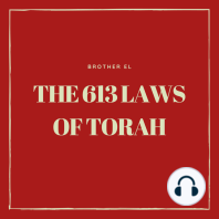 The 613 Laws Of Torah